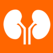 (c) Nephrologie-dresden.org